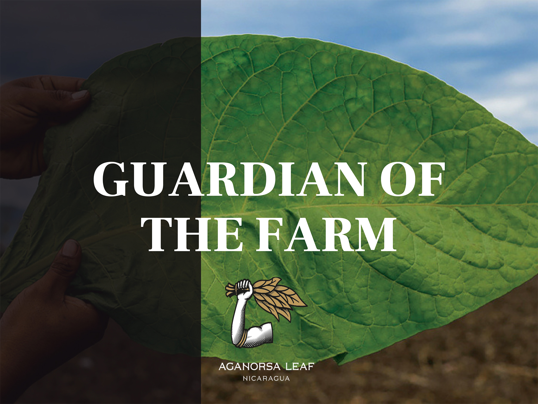 Guardian of the Farm : mais uma grande marca chega oficialmente no Brasil