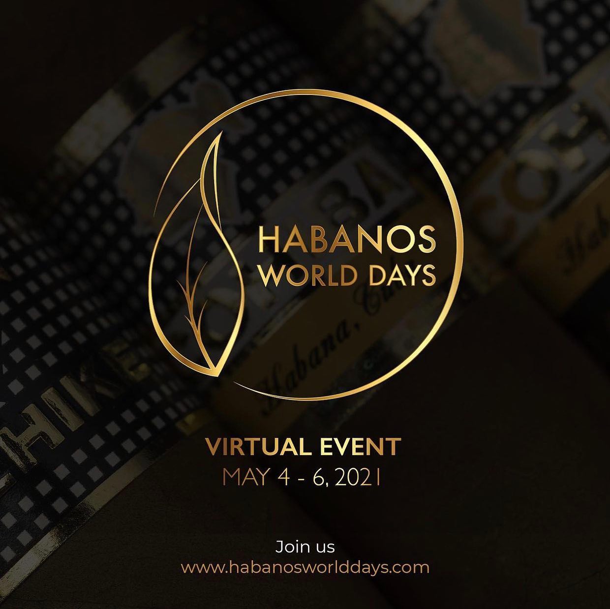 Este ano, o Festival Del Habano será celebrado em um grande evento